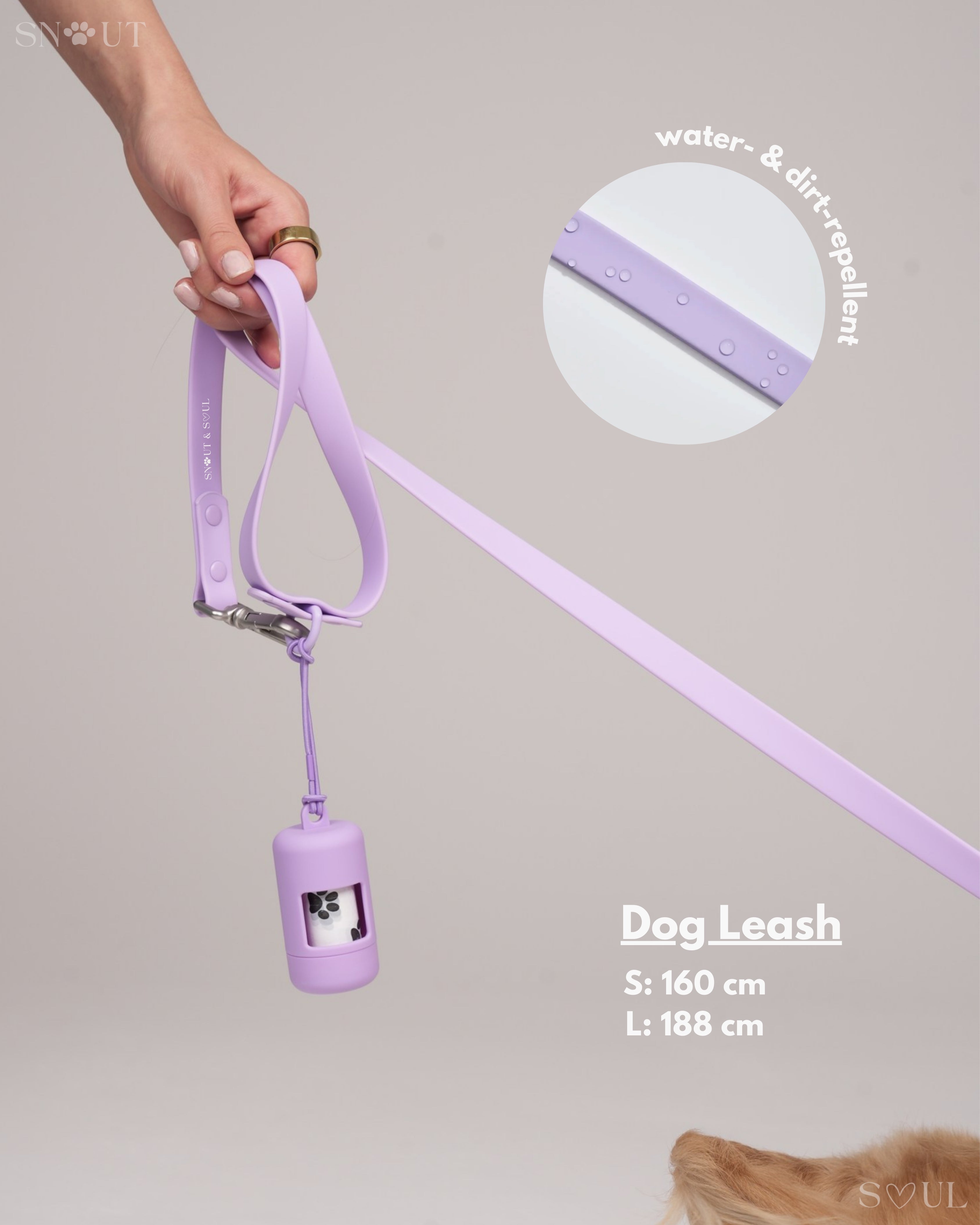 Harness Walk Set