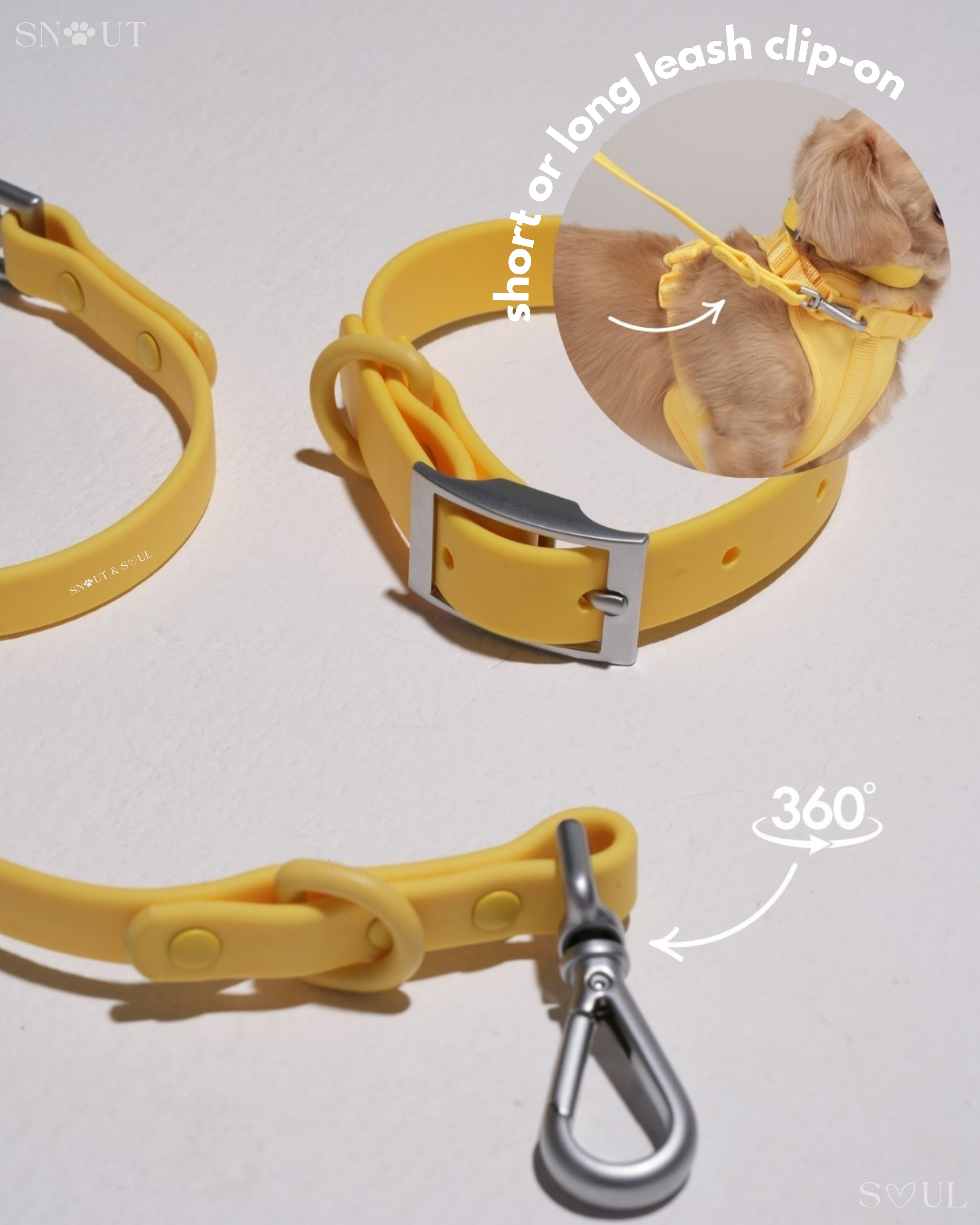 Harness Walk Set