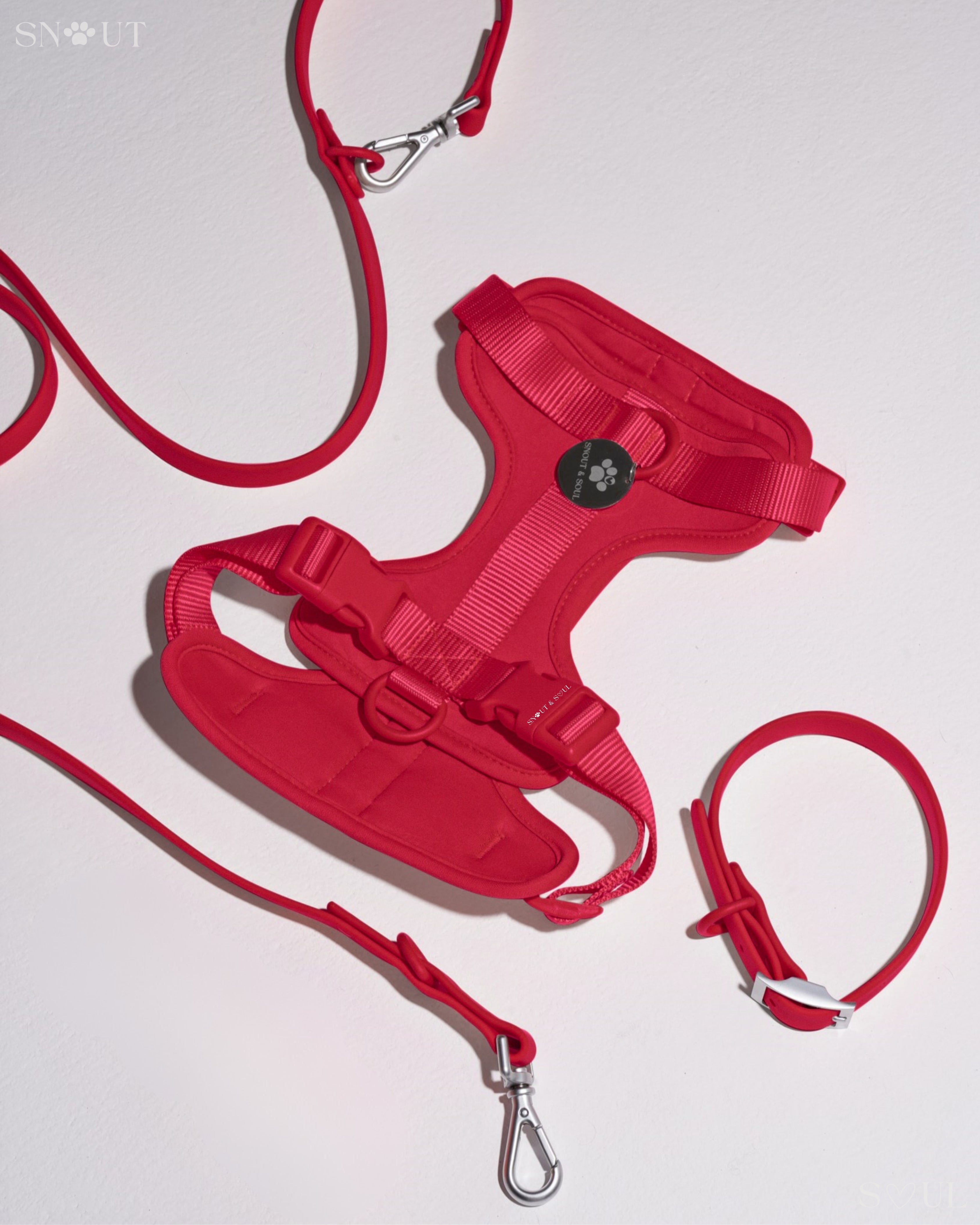 Harness Walk Set