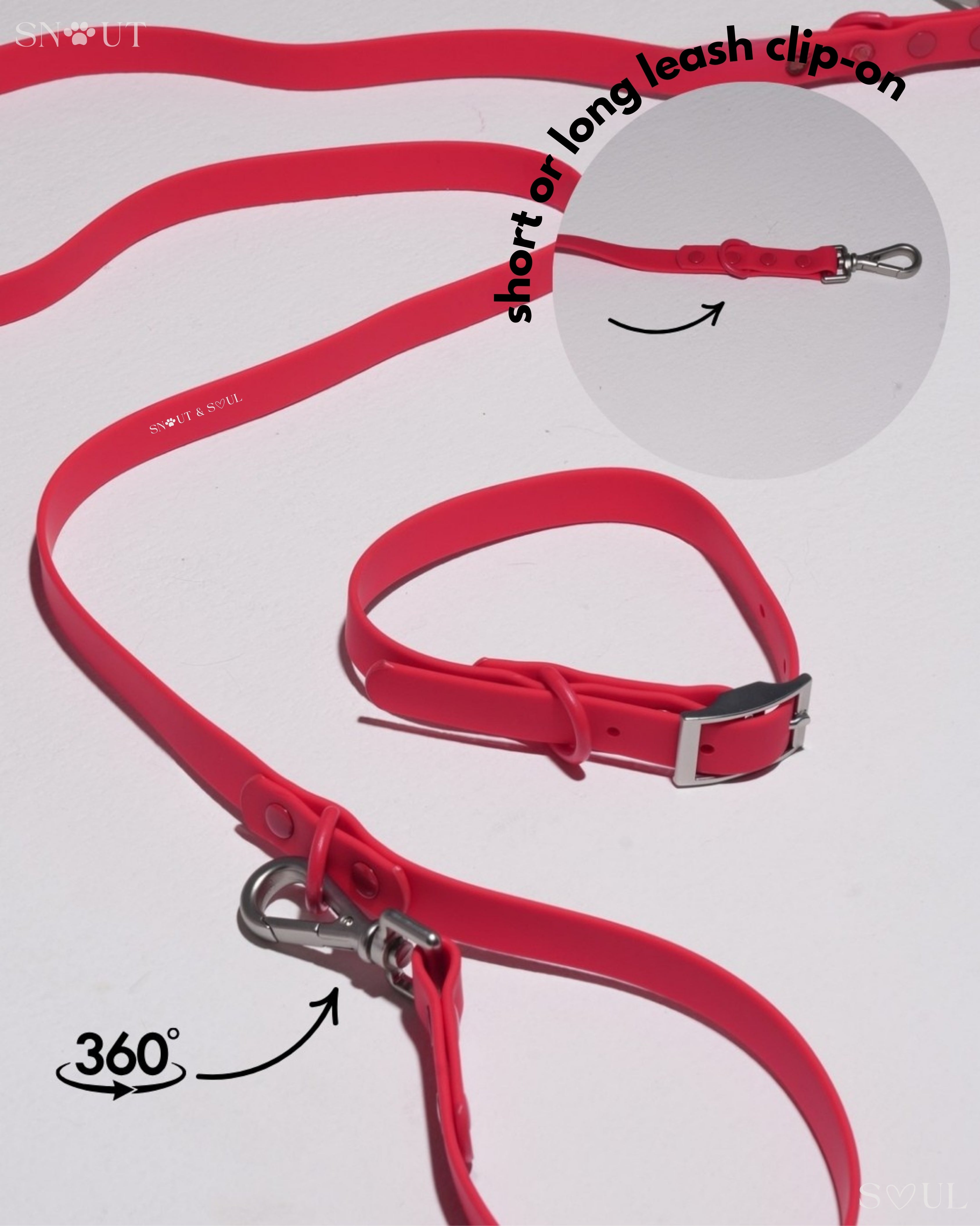 Harness Walk Set