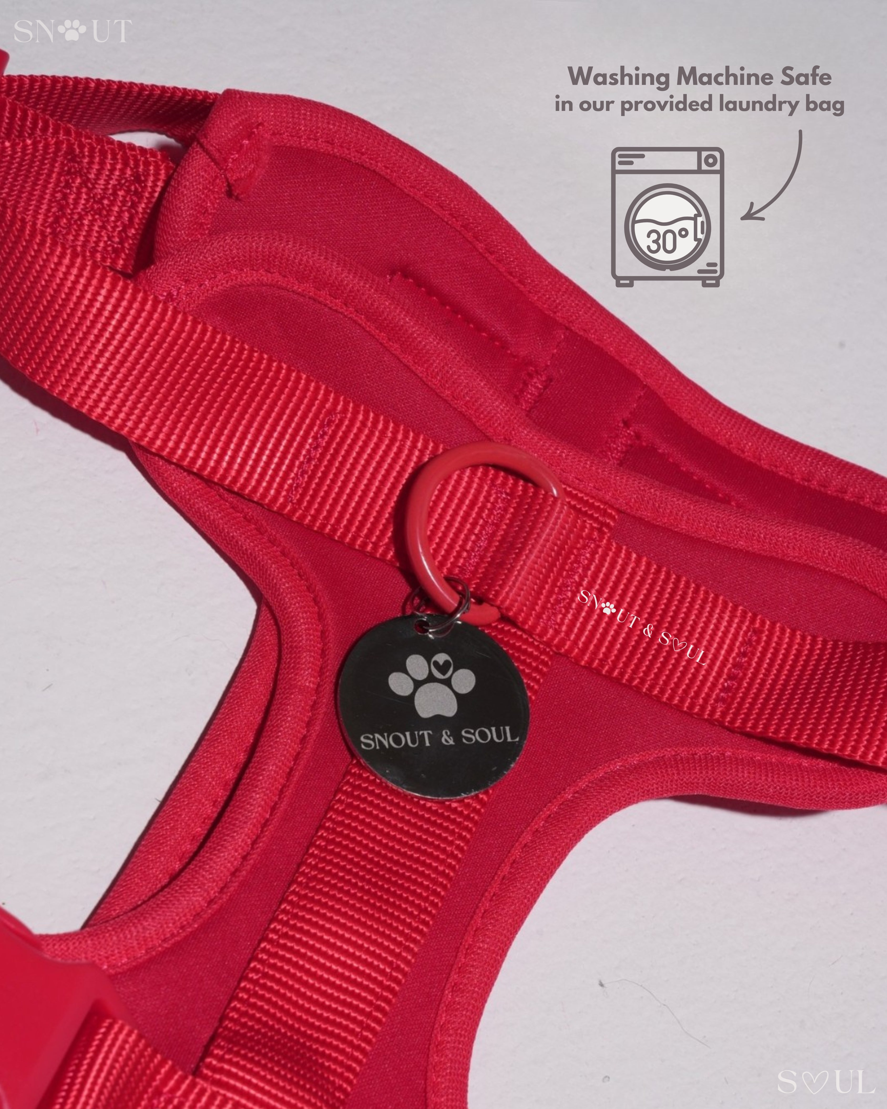 Harness Walk Set