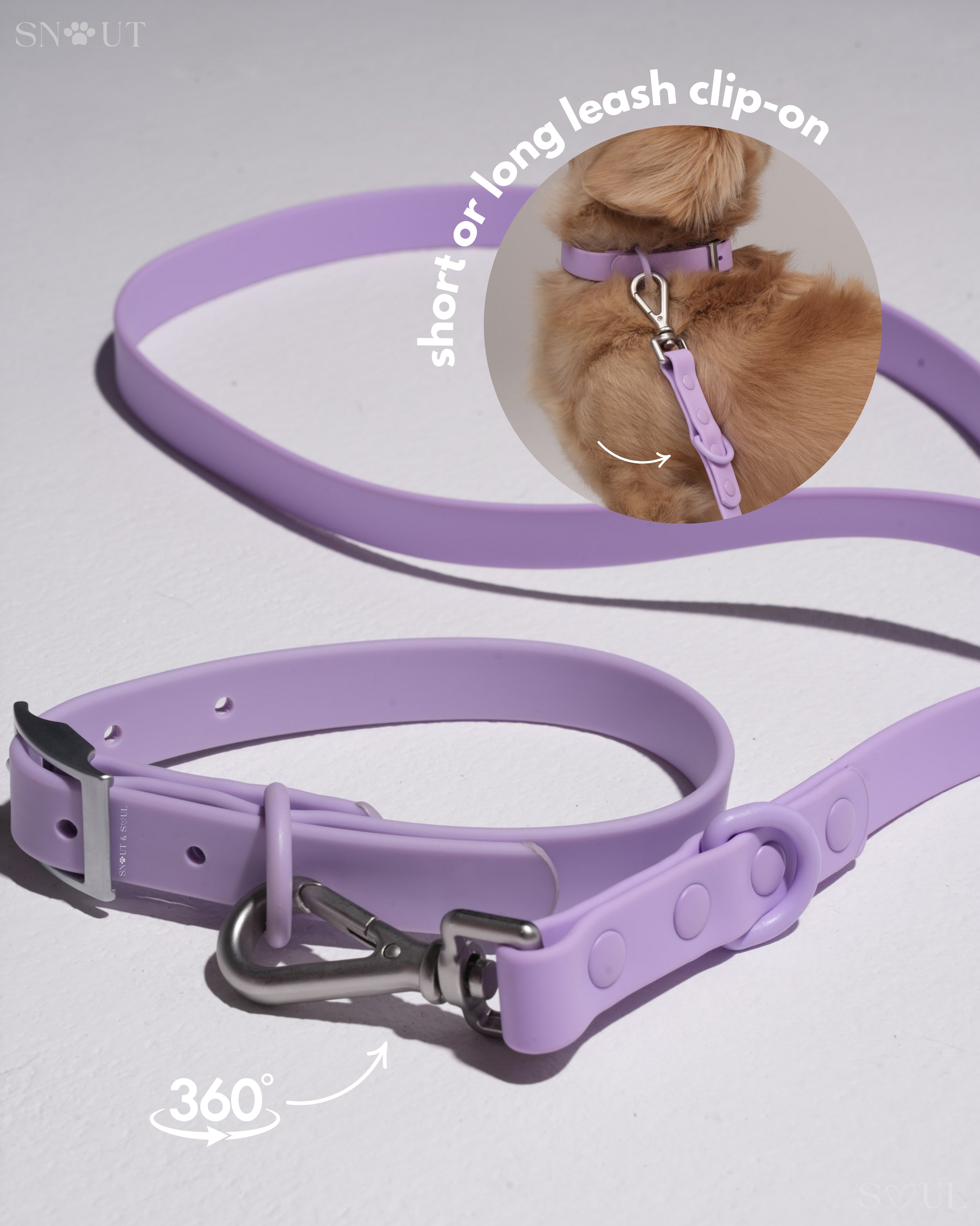 Harness Walk Set