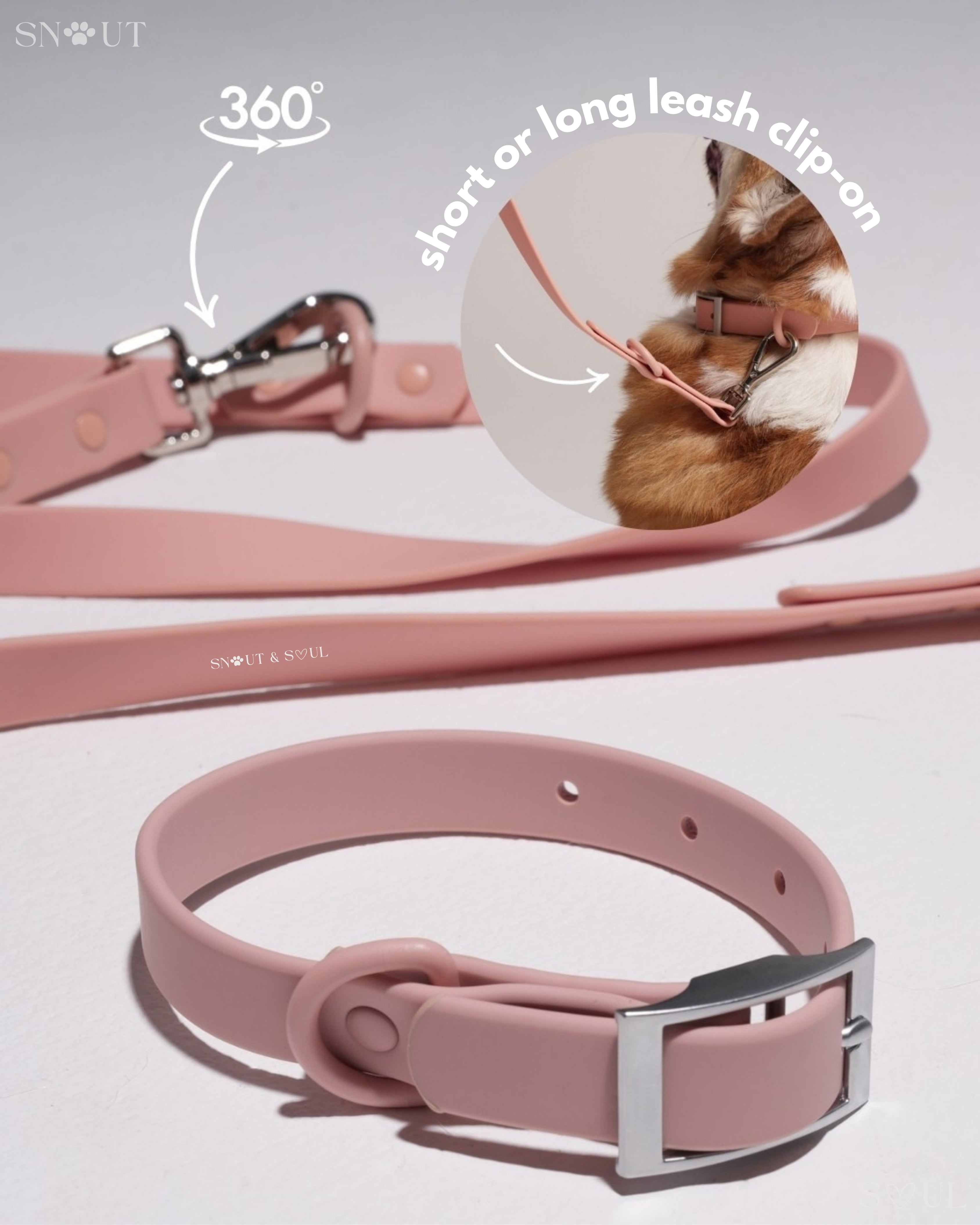 Harness Walk Set