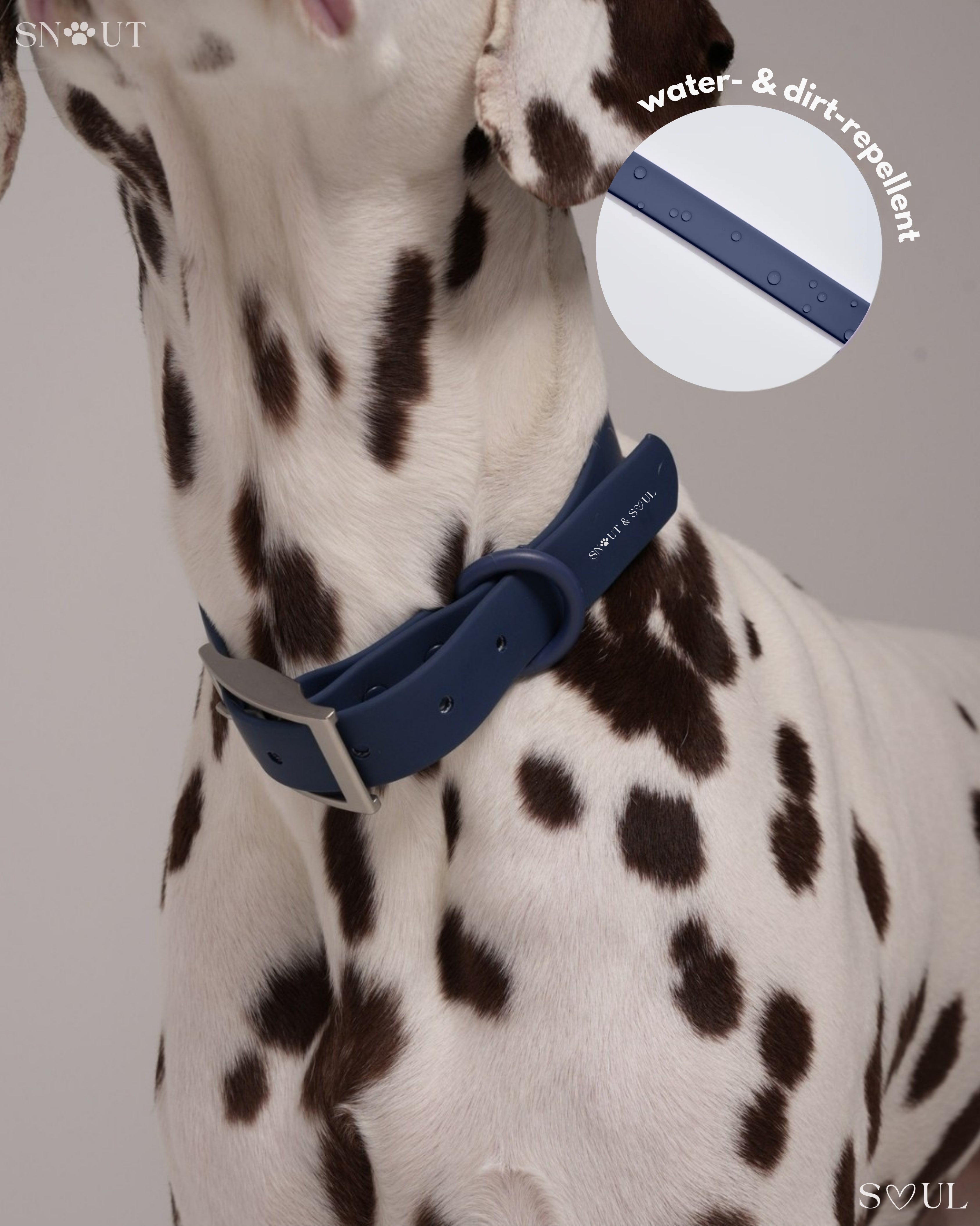 Collar